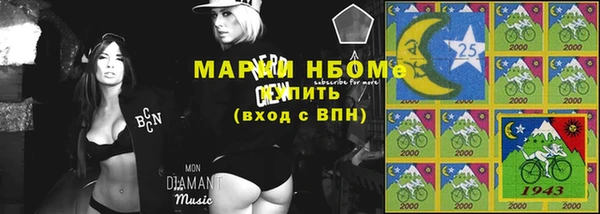 стаф Новокубанск