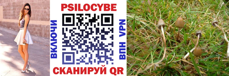 Галлюциногенные грибы Psilocybine cubensis omg ссылки Сим